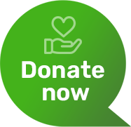Donate now button